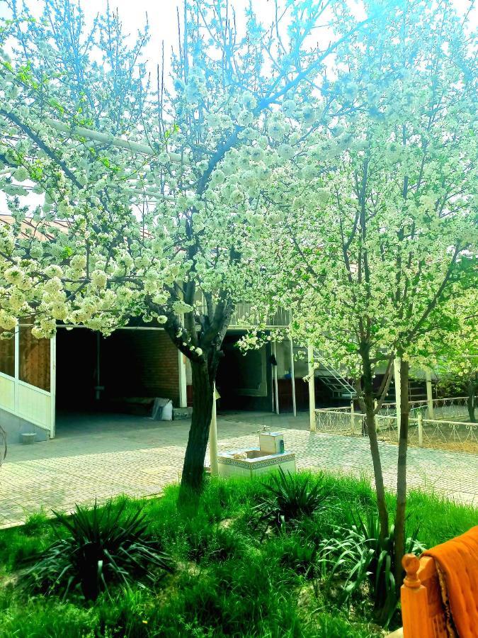 Colibri Traditional Guest House Samarkand Bagian luar foto
